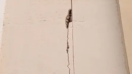 ভূমিকম্পে পাবিপ্রবির ২ ভবনে ফাটল