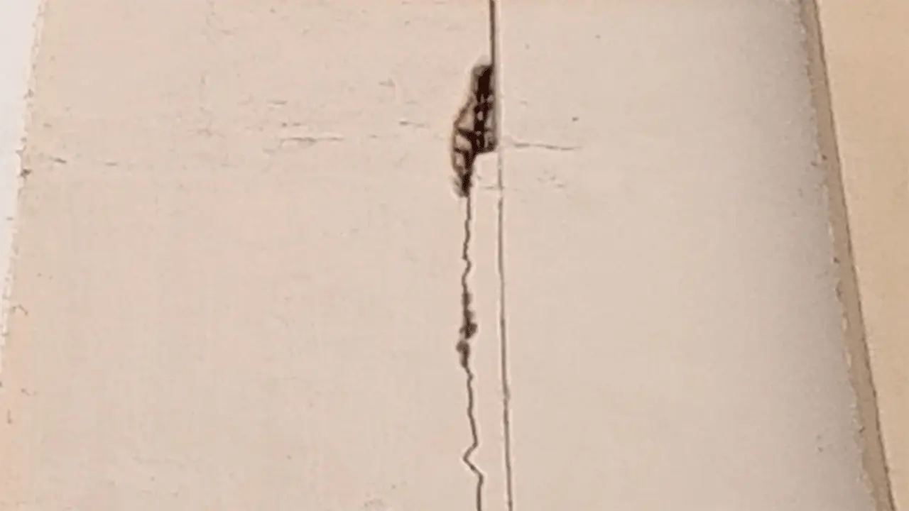 ভূমিকম্পে পাবিপ্রবির ২ ভবনে ফাটল