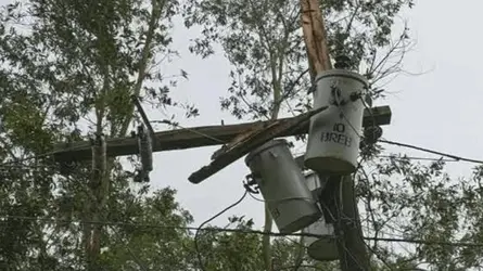 কুমিল্লায় কালবৈশাখী ঝড়, বিদ্যুৎ বিচ্ছিন্ন গ্রাহকরা