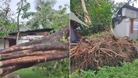 সুন্দরগঞ্জে কালবৈশাখী ঘূর্ণিঝড়ে ব্যাপক ক্ষয়ক্ষতি