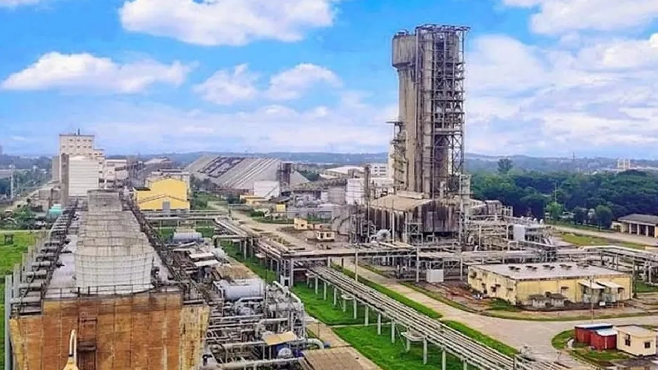 অ্যামোনিয়া সঙ্কটে বন্ধ হলো ডিএপি সার কারখানা