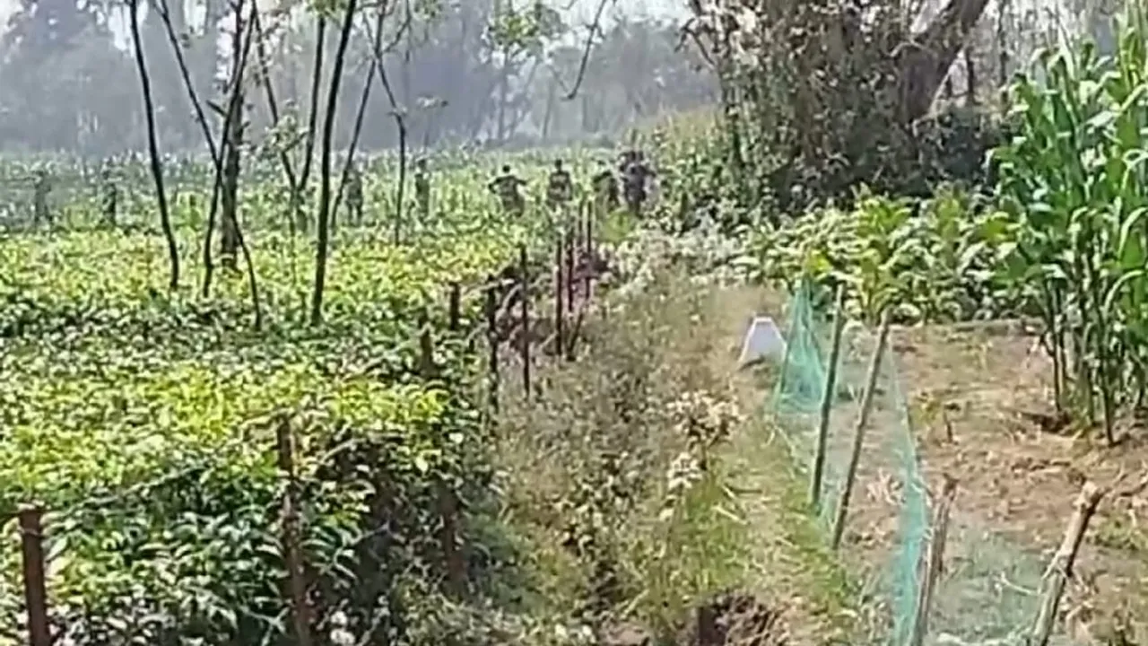 দহগ্রাম সীমান্তে কাঁটাতারের বেড়া নির্মাণের চেষ্টা বিএসএফের, বিজিবির বাধা