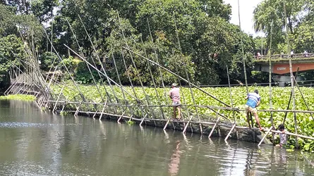 সাঁথিয়ায় ইছামতি নদী থেকে অবৈধ বাঁধ অপসারণ