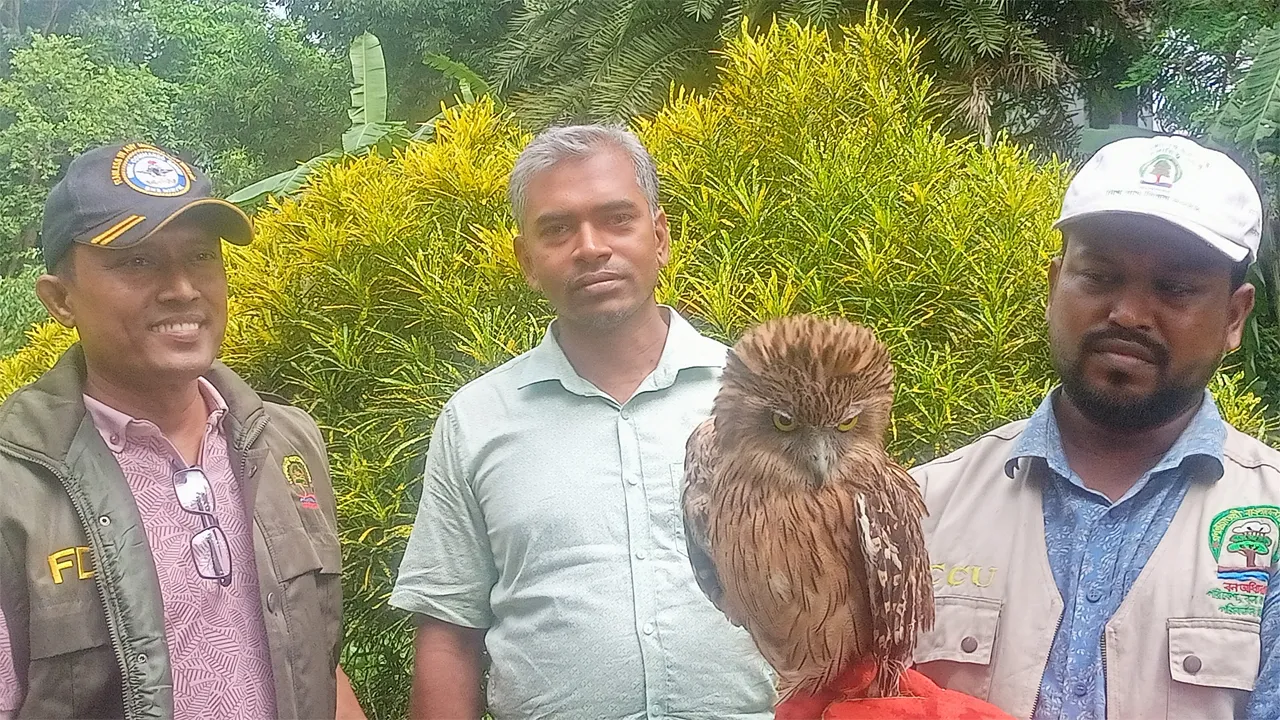 চুয়াডাঙ্গায় মেছো বিড়াল, বানর, হুতুমপ্যাঁচা জব্দ
