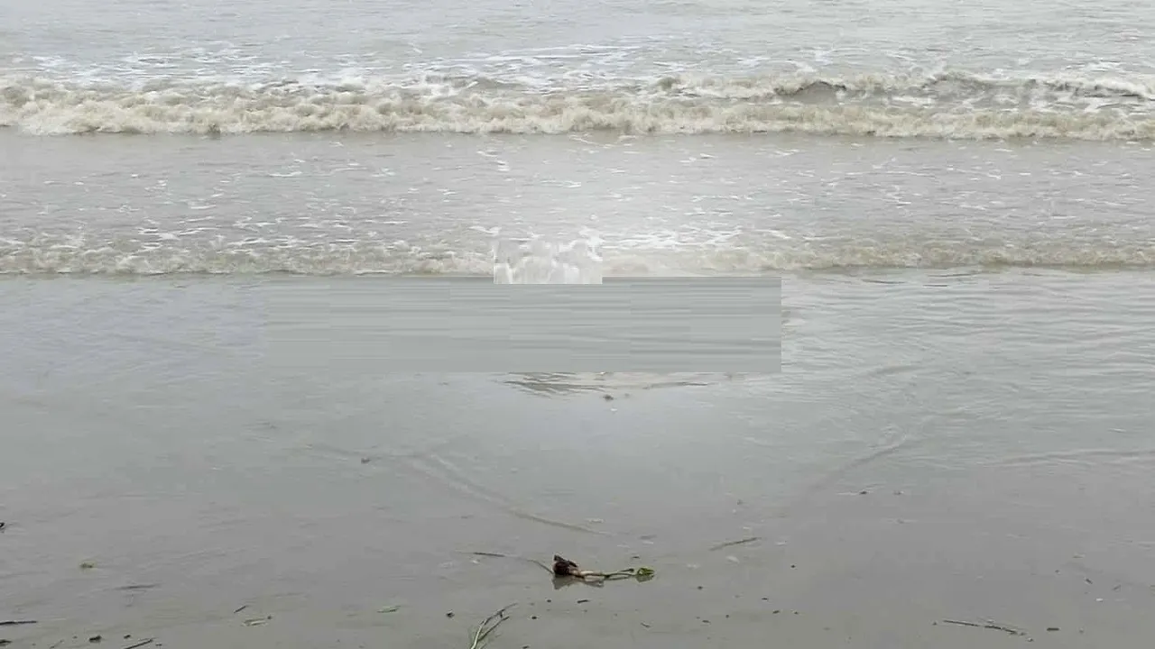 আনোয়ারায় সাগর থেকে অজ্ঞাত লাশ উদ্ধার