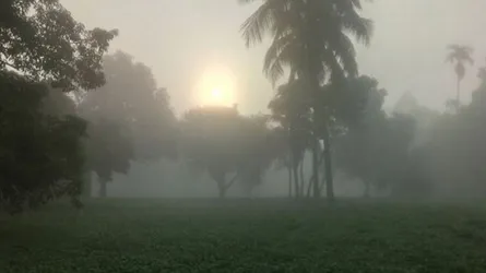 হালকা কুয়াশা পড়তে পারে