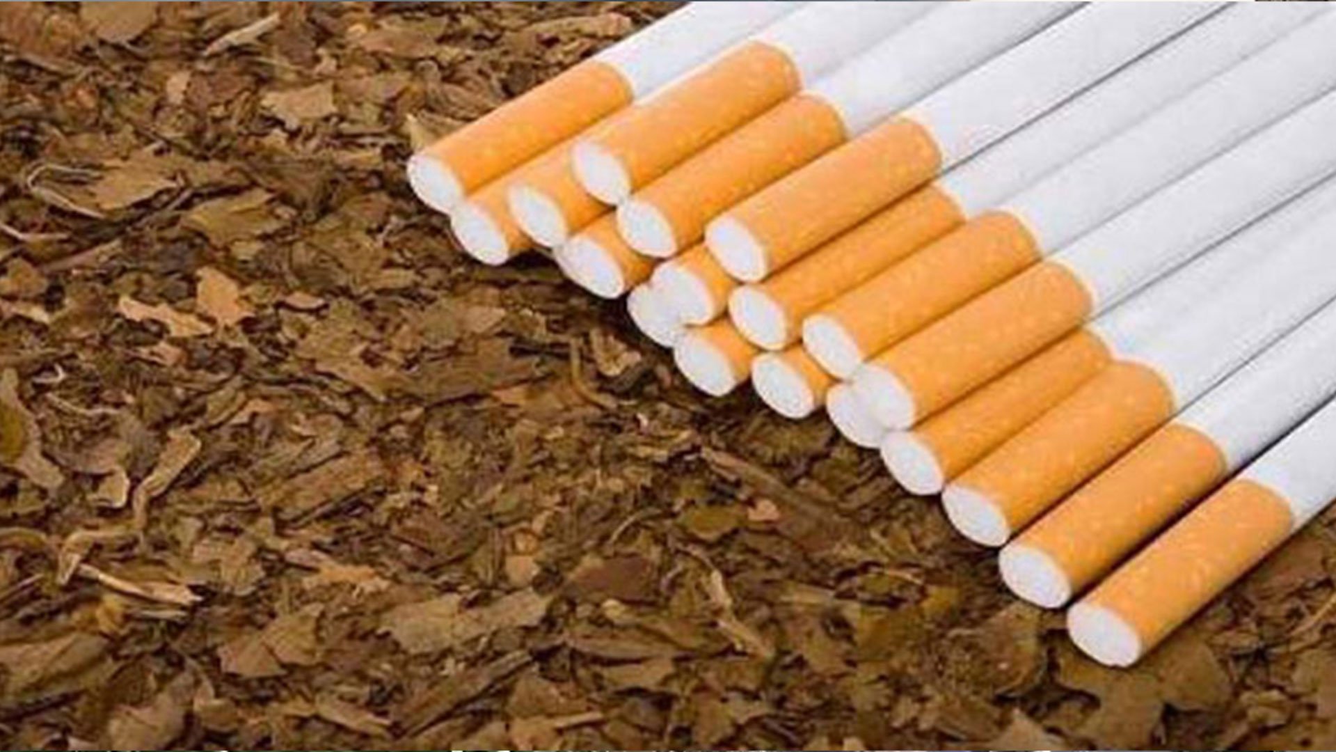 Demand-for-early-gazettement-of-Tobacco-Control-Amendment-Act