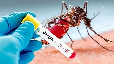 ডেঙ্গুতে আরো ২ জনের মৃত্যু, একদিনে হাসপাতালে ১,০৫৬