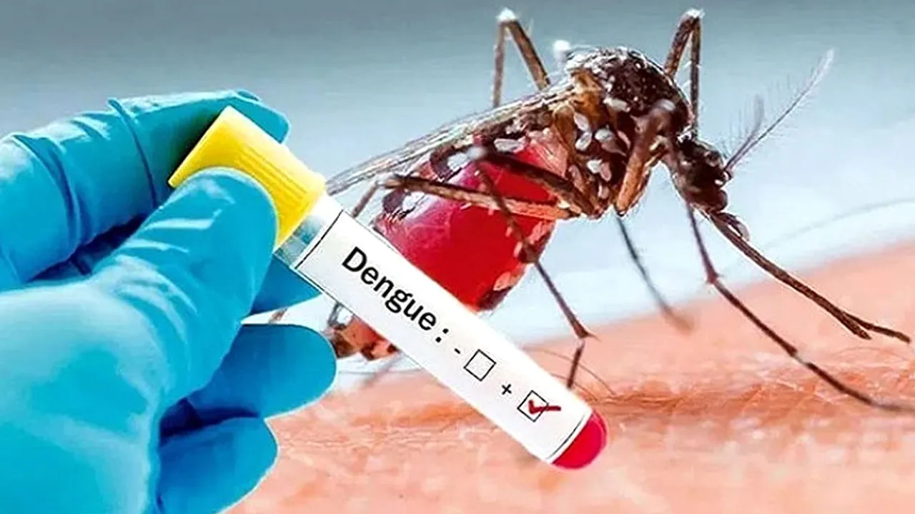 ডেঙ্গুতে আরো ২ জনের মৃত্যু, একদিনে হাসপাতালে ১,০৫৬