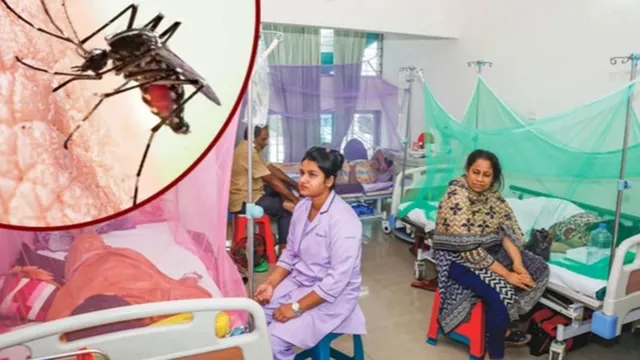 ডেঙ্গুতে আরো ২ জনের মৃত্যু, হাসপাতালে ভর্তি ৬৯৩