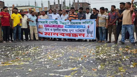 নায্যমূল্যের দাবিতে সড়কে ডিম ভেঙে ধামরাইয়ে খামারিদের প্রতিবাদ