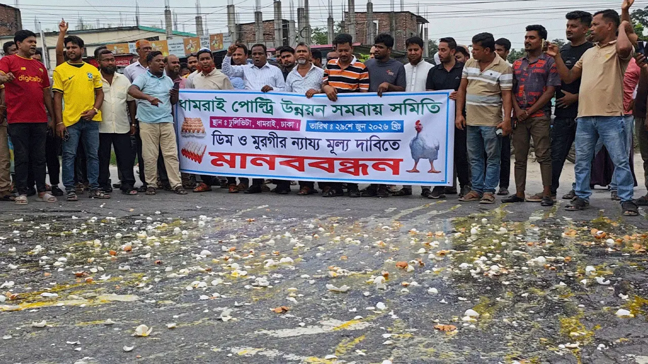 নায্যমূল্যের দাবিতে সড়কে ডিম ভেঙে ধামরাইয়ে খামারিদের প্রতিবাদ