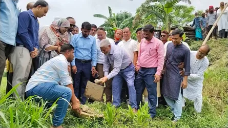 অবৈধ ইটভাটা বন্ধ না করলে কৃষি জমি রক্ষা করা যাবে না
