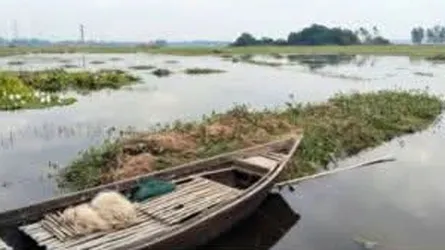 ধামরাইয়ে ৫ হাজার একর ফসলি জমিতে জলাবদ্ধতা