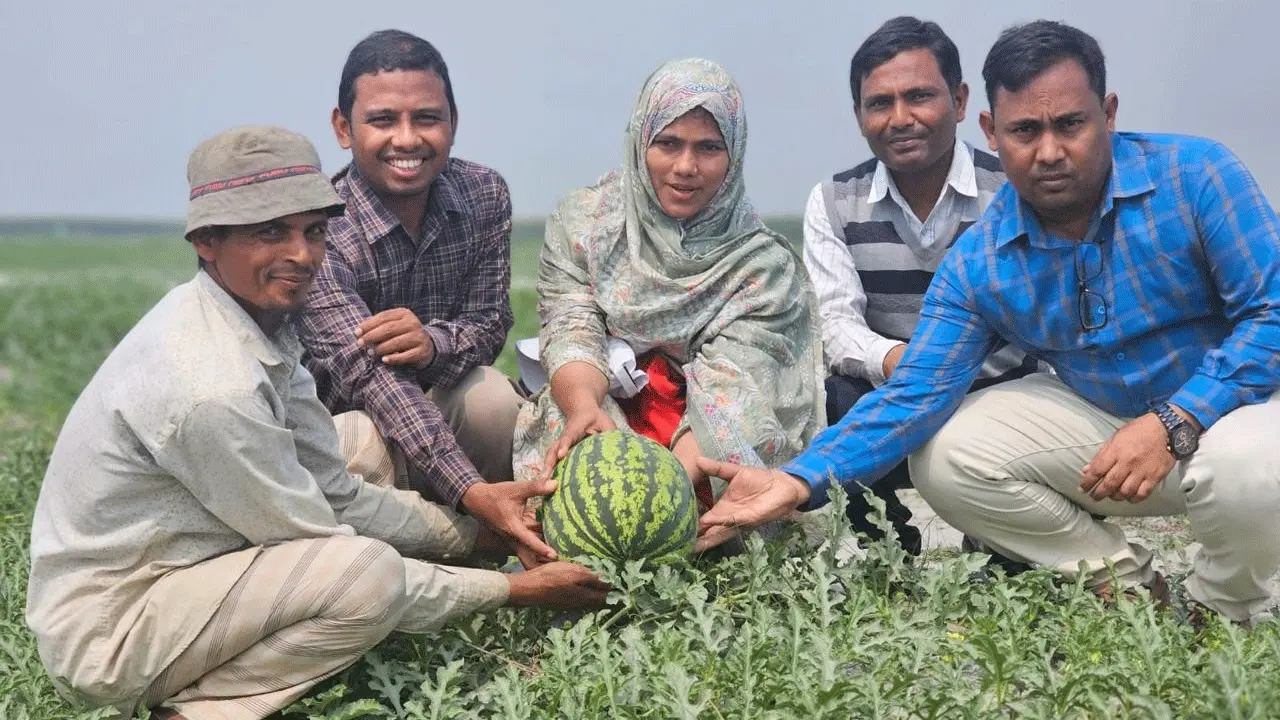 মাঠের পরামর্শে বদলাচ্ছে ডিমলার কৃষি, বাড়ছে বহুমুখী চাষ