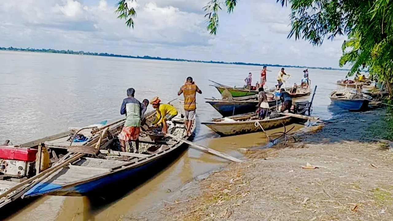অবাধে চলছে তিস্তার পাথর লুট : ১৭ সিন্ডিকেটের সক্রিয় ২০ টিম