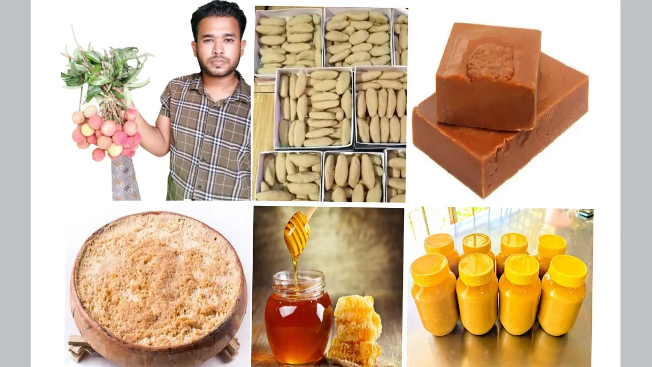 শিক্ষার্থী থেকে সফল উদ্যোক্তা হাবিপ্রবি শিক্ষার্থী জামিউল