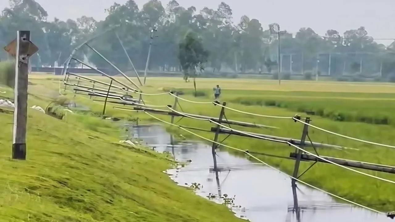দিনাজপুরে কালবৈশাখী ঝড়, বিরলে বিদ্যুৎ সরবরাহ বন্ধ
