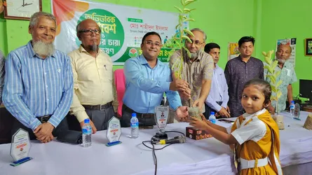 দাগনভূঞায় সানরাইজ ইনস্টিটিউটে গাছের চারা বিতরণ