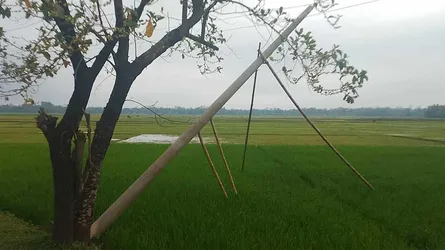 দোয়ারাবাজারে হেলে রয়েছে বিদ্যুতের ৪ খুঁটি, দুর্ঘটনার শঙ্কা