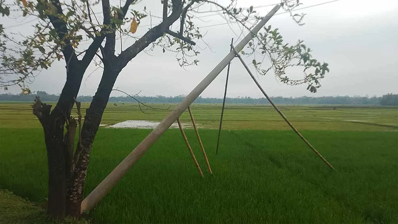 দোয়ারাবাজারে হেলে রয়েছে বিদ্যুতের ৪ খুঁটি, দুর্ঘটনার শঙ্কা
