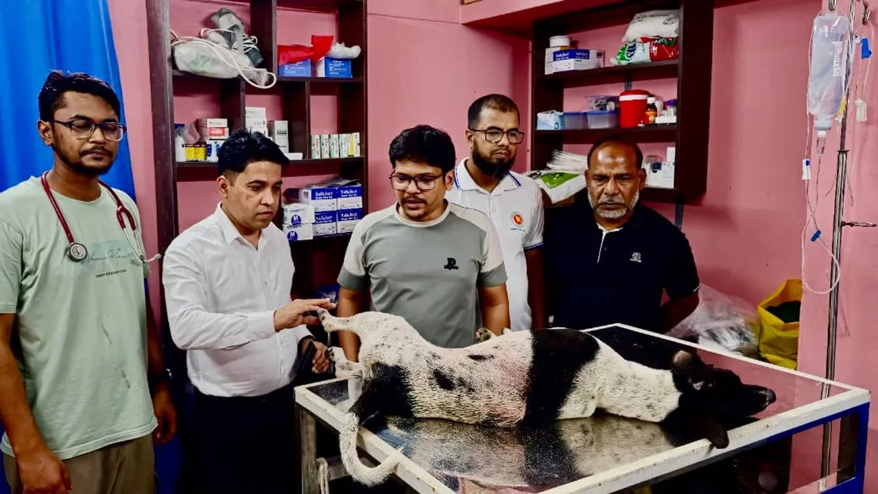 আঘাতে আহত কুকুরকে দেখে ব্যথিত প্রধানমন্ত্রী, ব্যবস্থা গ্রহণের নির্দেশ