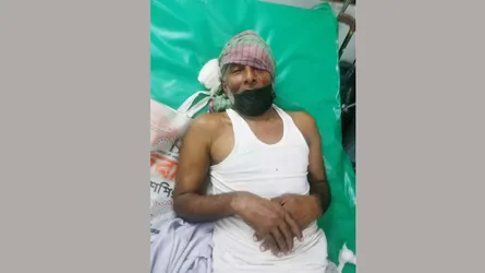 পেকুয়ায় কুকুরের কামড়ে শিশুসহ আহত ২০