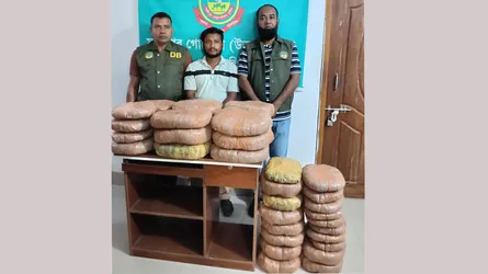 গাজীপুরে দেড় মন গাঁজাসহ মাদক কারবারি গ্রেফতার