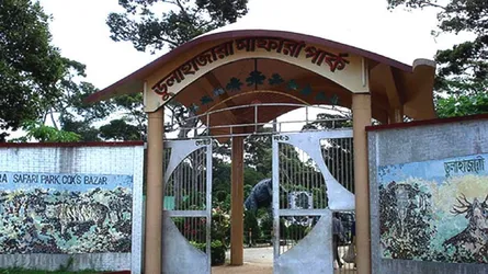 ডুলাহাজারা সাফারি পার্কের ৪ কোটি টাকার উন্নয়ন কাজে অনিয়মের তদন্তে দুদক