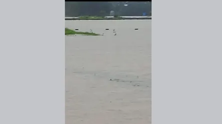 ঈদগাঁওতে ফসলি বিলে জলাবদ্ধতায় পিছিয়ে যাচ্ছে আমন চাষ