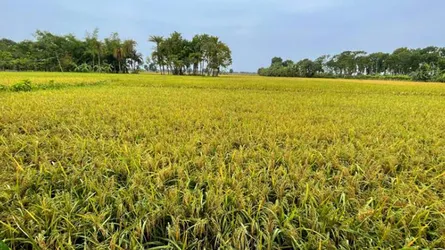 সরকারের বাস্তবমুখী পদক্ষেপে গতি ফিরছে অর্থনীতিতে