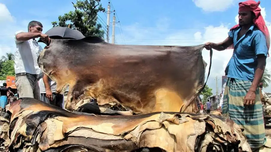 চামড়া পাচাররোধে সীমান্তবর্তী এলাকাসমূহে সর্তকতা গ্রহণ