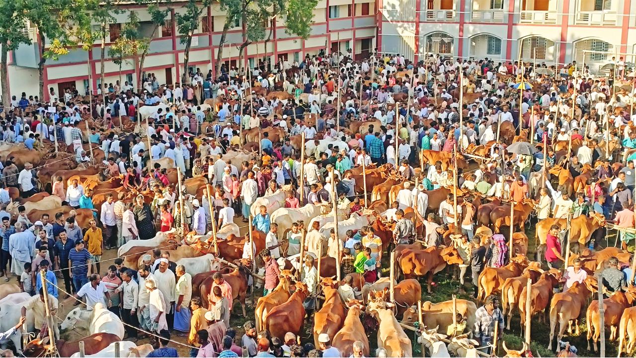 Eidul adha