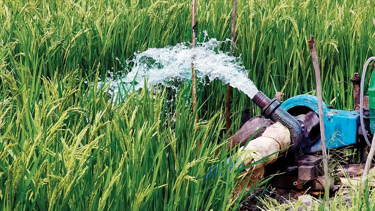 সেচ মৌসুমে বিদ্যুতের অতিরিক্ত চাহিদা মেটাতে পদক্ষেপ নিচ্ছে সরকার