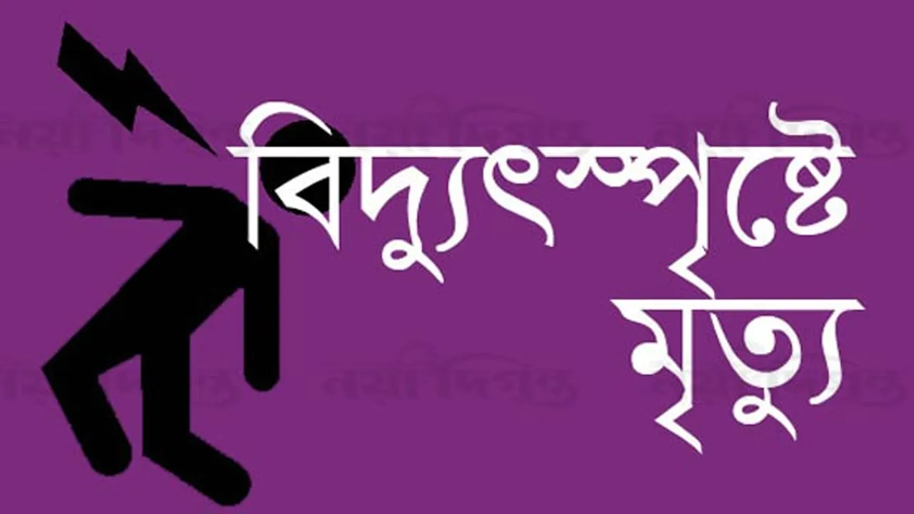 চুয়াডাঙ্গায় বিদ্যুৎস্পৃষ্টে বৃদ্ধের মৃত্যু