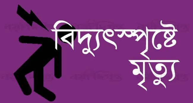 কসবায় বিদ্যুৎস্পৃষ্টে চাচা-ভাতিজার মৃত্যু