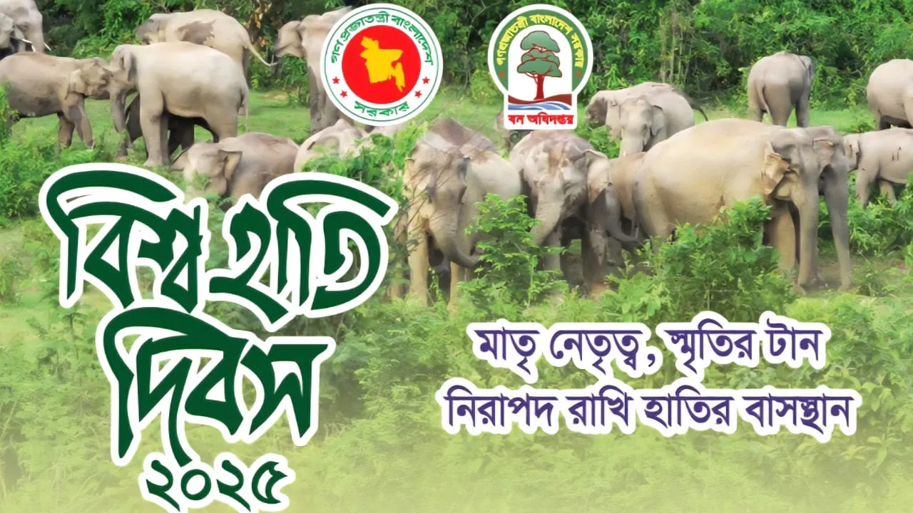 বিপন্ন হাতির জন্য নিরাপদ আবাসস্থল নিশ্চিত করা আমাদের নৈতিক দায়িত্ব
