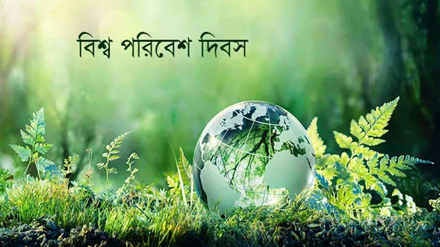 বিশ্ব পরিবেশ দিবস আজ