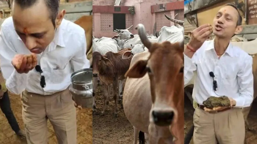 ভারতে গরুর গোবর, মুত্র দিয়ে ক্যান্সারের ব্যর্থ গবেষণা, গায়েব সাড়ে ৩ কোটি রুপি
