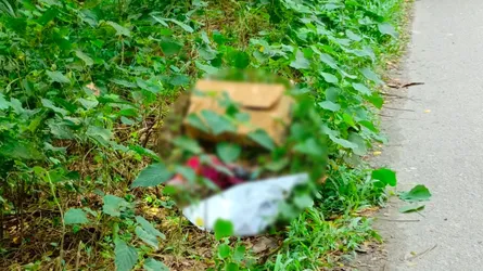 ফকিরহাটে মহাসড়কের পাশ থেকে নবজাতকের লাশ উদ্ধার