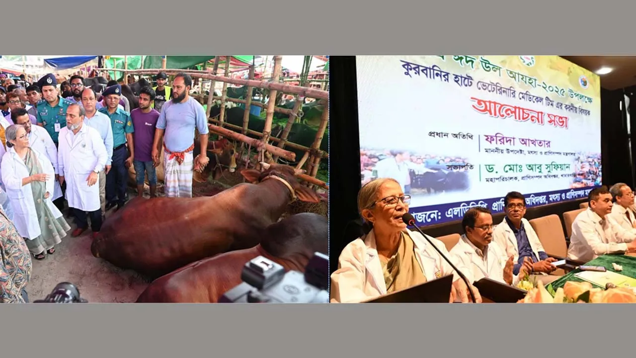 পর্যাপ্ত মজুদ আছে, চোরাইপথে যেন কোরবানির পশু ঢুকতে না পারে
