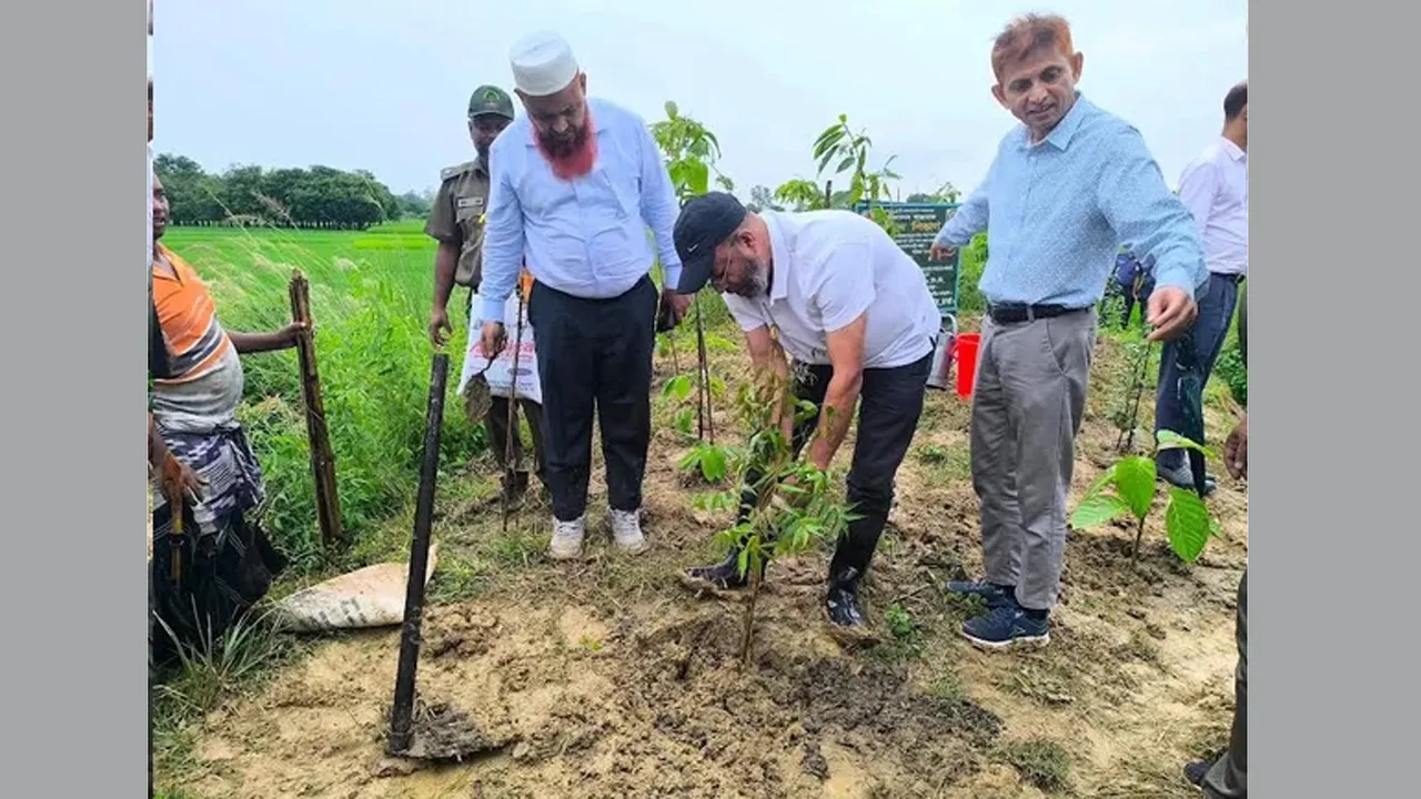পরিবেশ ও জীববৈচিত্র্য রক্ষায় সবুজায়ন গুরুত্বপূর্ণ : পরিবেশ প্রতিমন্ত্রী