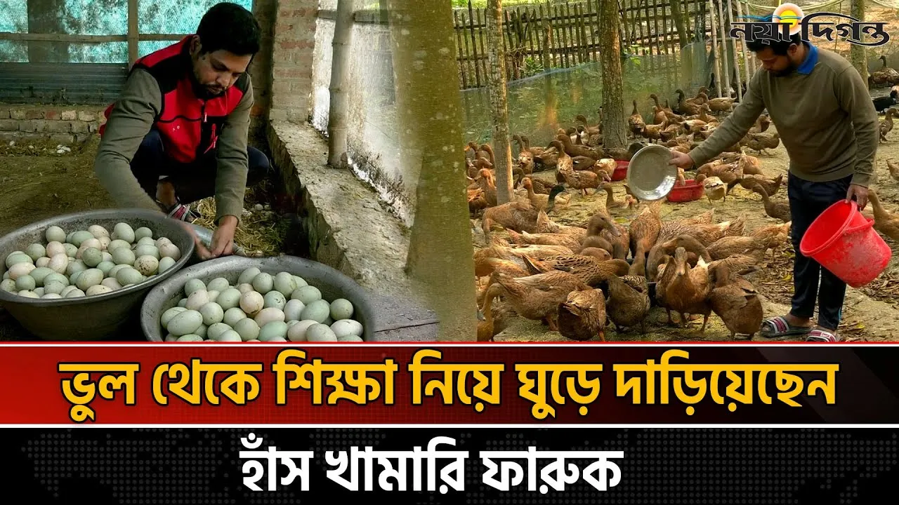 হাঁসখামারি ফারুকের কৃষিযাত্রায় নতুন দিগন্ত