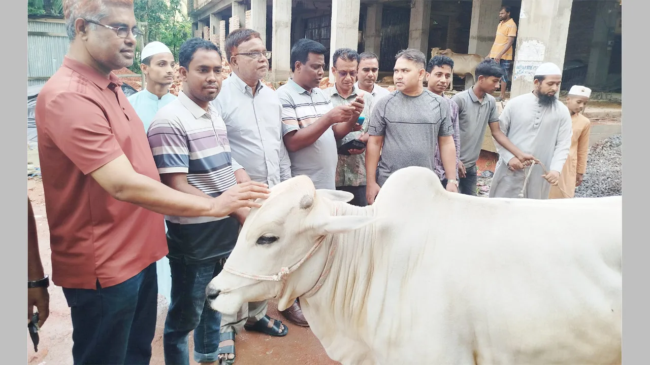 সোনাগাজীতে এতিমদের জন্য মন্ত্রী আব্দুল আউয়াল মিন্টুর ৮টি গরু বিতরণ