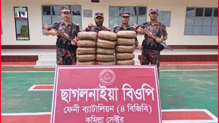 ফেনীতে ৩৫ কেজি গাঁজা জব্দ করেছে বিজিবি