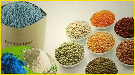 নানিয়ারচরে ১৮৫ কৃষকের মাঝে সার ও বীজ বিতরণ