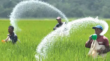 ১ লাখ ৪৫ হাজার টন সার আমদানি করবে সরকার