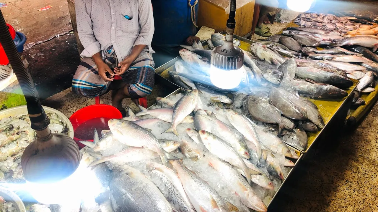 কক্সবাজারে ইলিশের সরবরাহ কম, অতিরিক্ত দামে অতিষ্ঠ ক্রেতারা