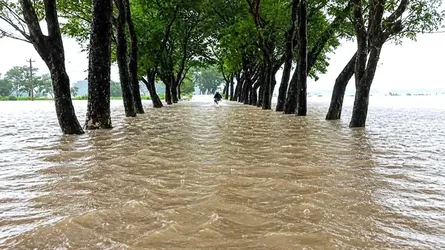 পাঁচ নদীর ৯ পয়েন্টে বিপৎসীমার ওপরে পানি