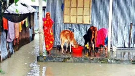 উত্তরাঞ্চলে বন্যার আশঙ্কা